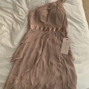 Beautiful Adrianna Papell blush colored dreas. New with tags never worn!